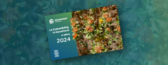 Bilancio di Sostenibilità 2024